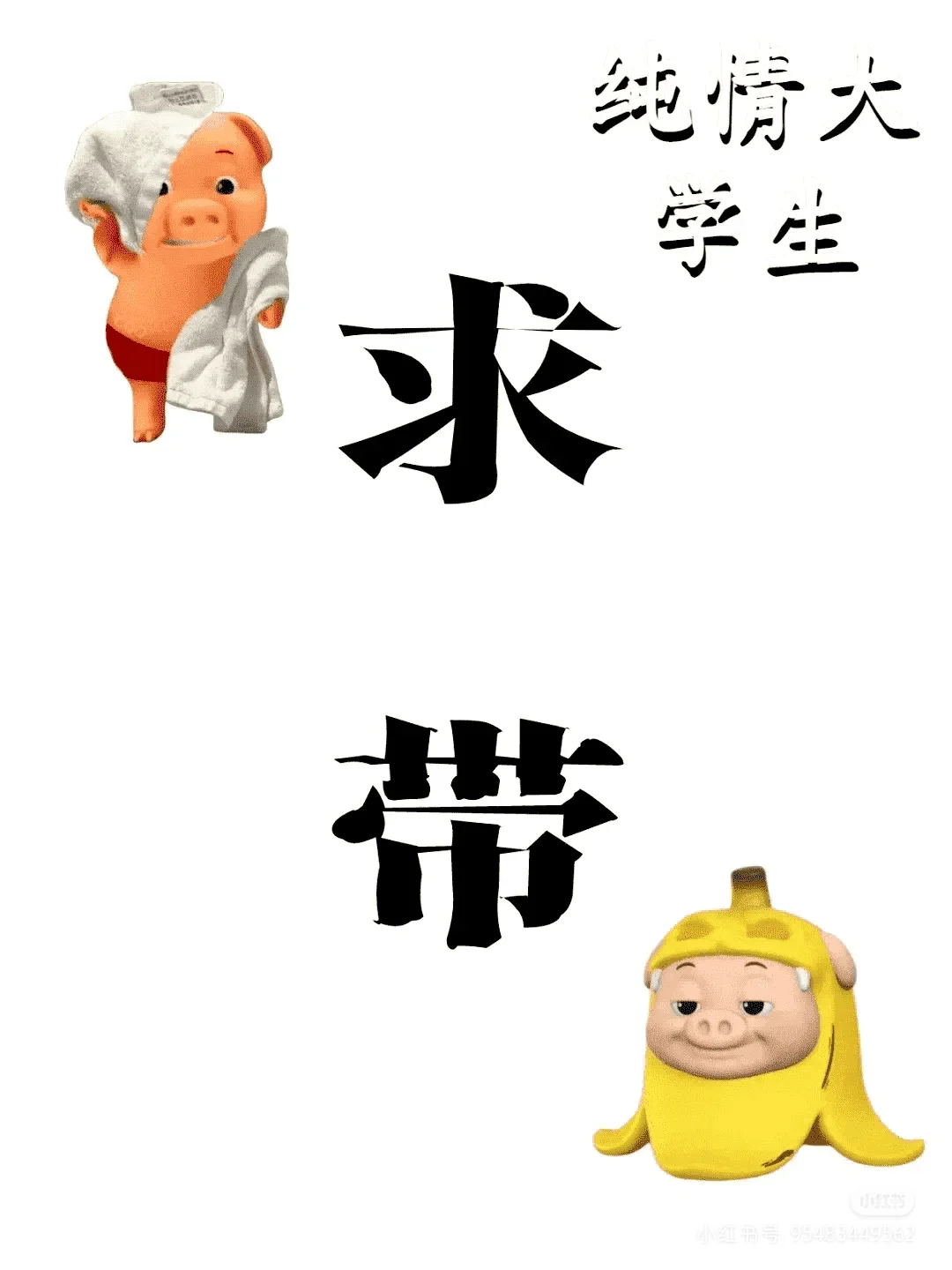 苦苦的大学生