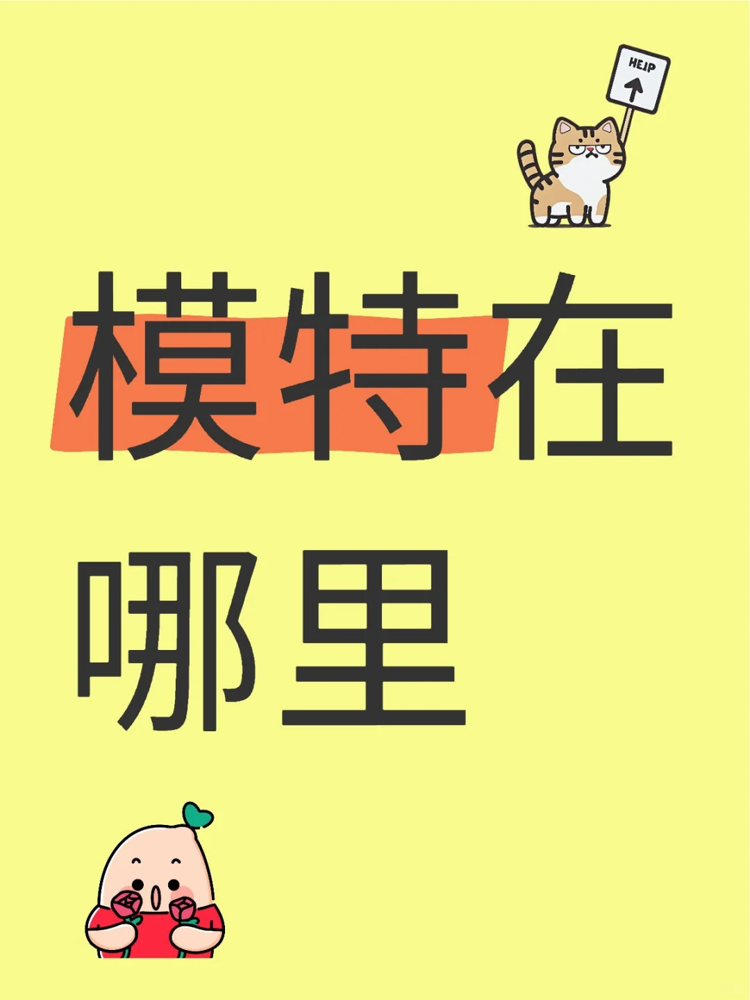 模特在哪里