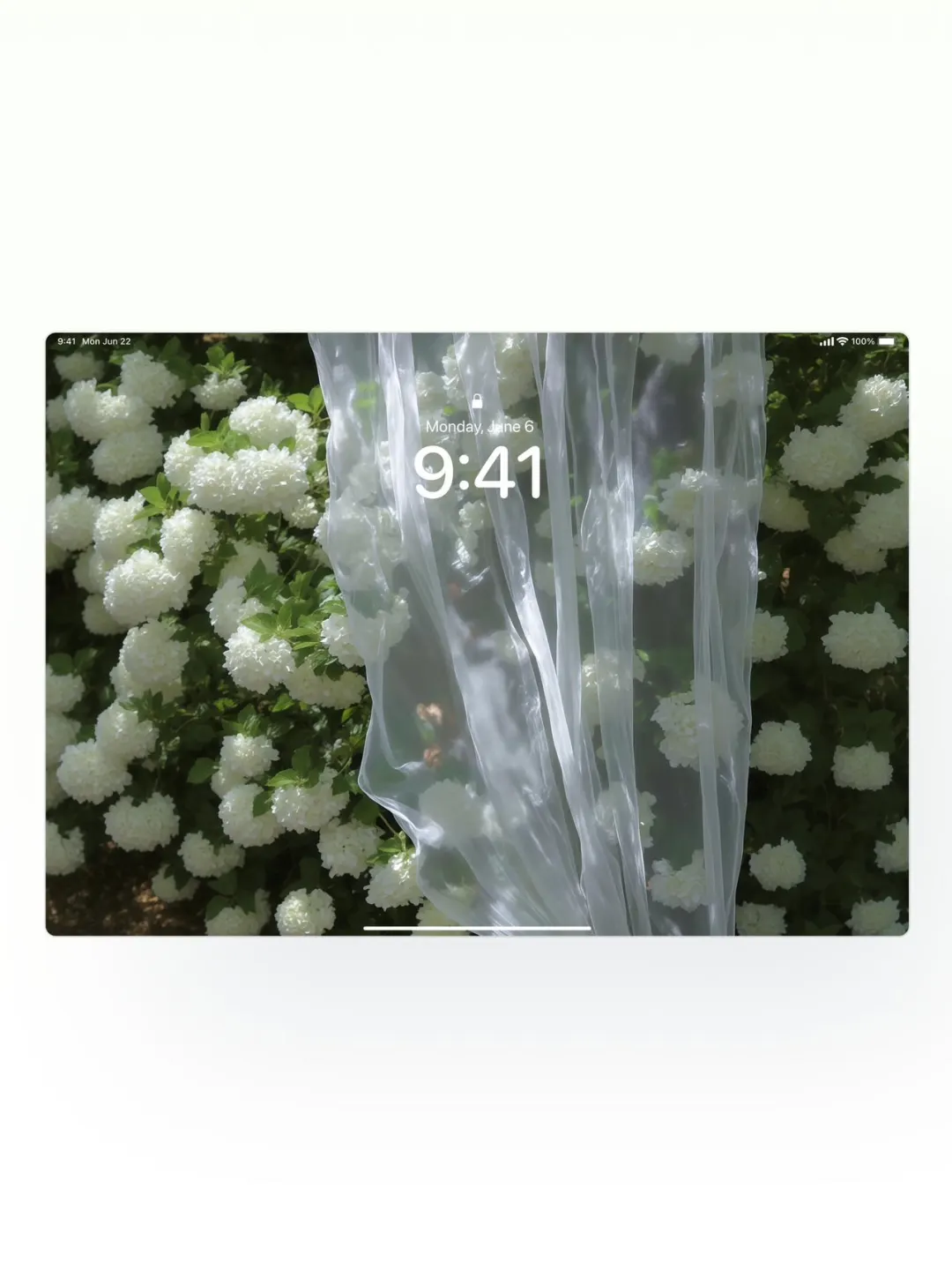 5.20夏天的专属壁纸哦～૮₍◜ෆ◝.₎ა