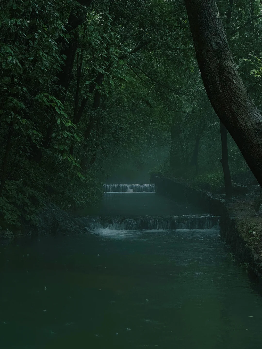 一些江南阴雨天的绿