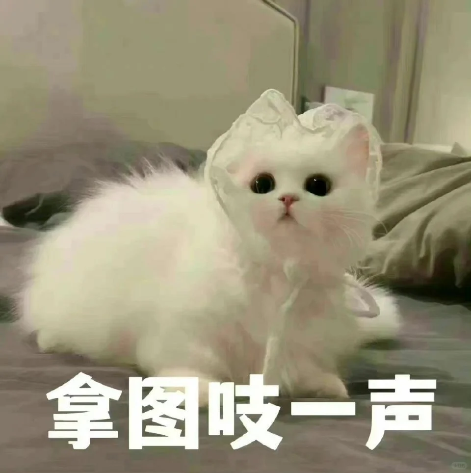 美美子头像/第十二弹