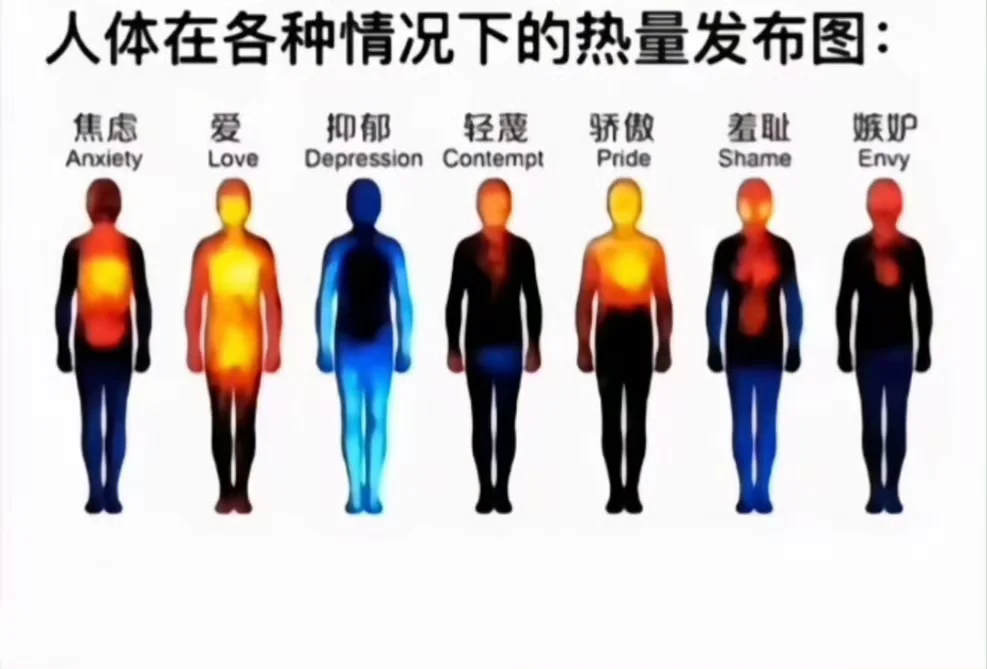 人体在各种情况下的热量图