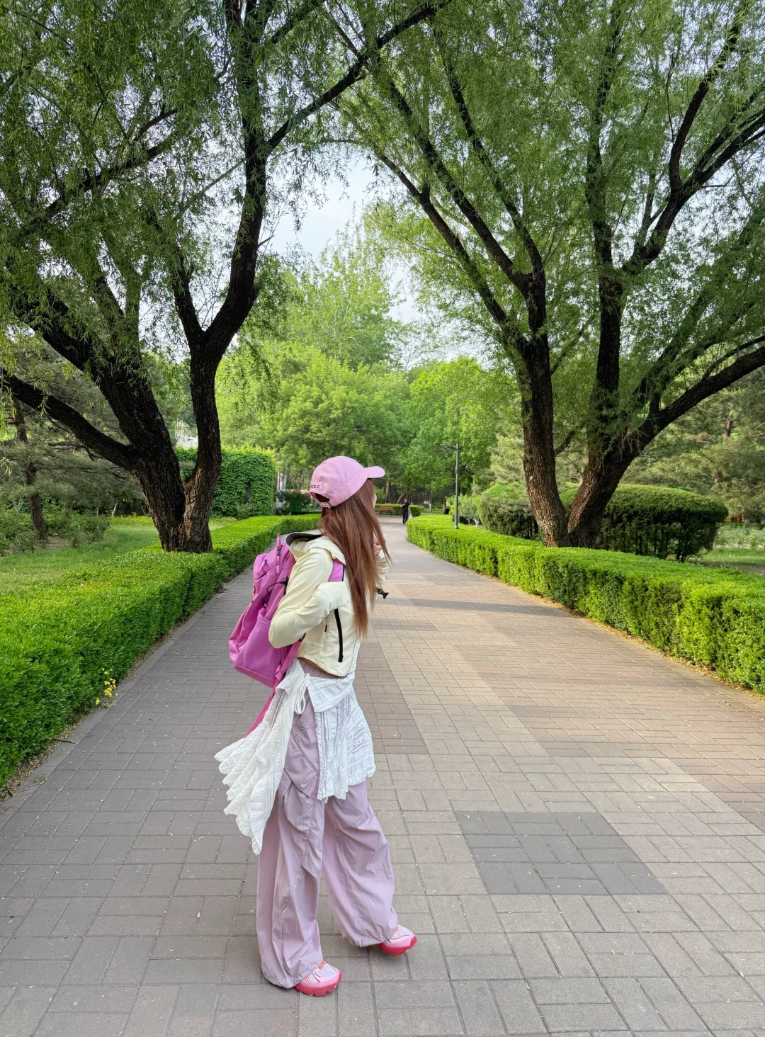 野心友好✌️人总要追寻一些静谧与绿意🌳