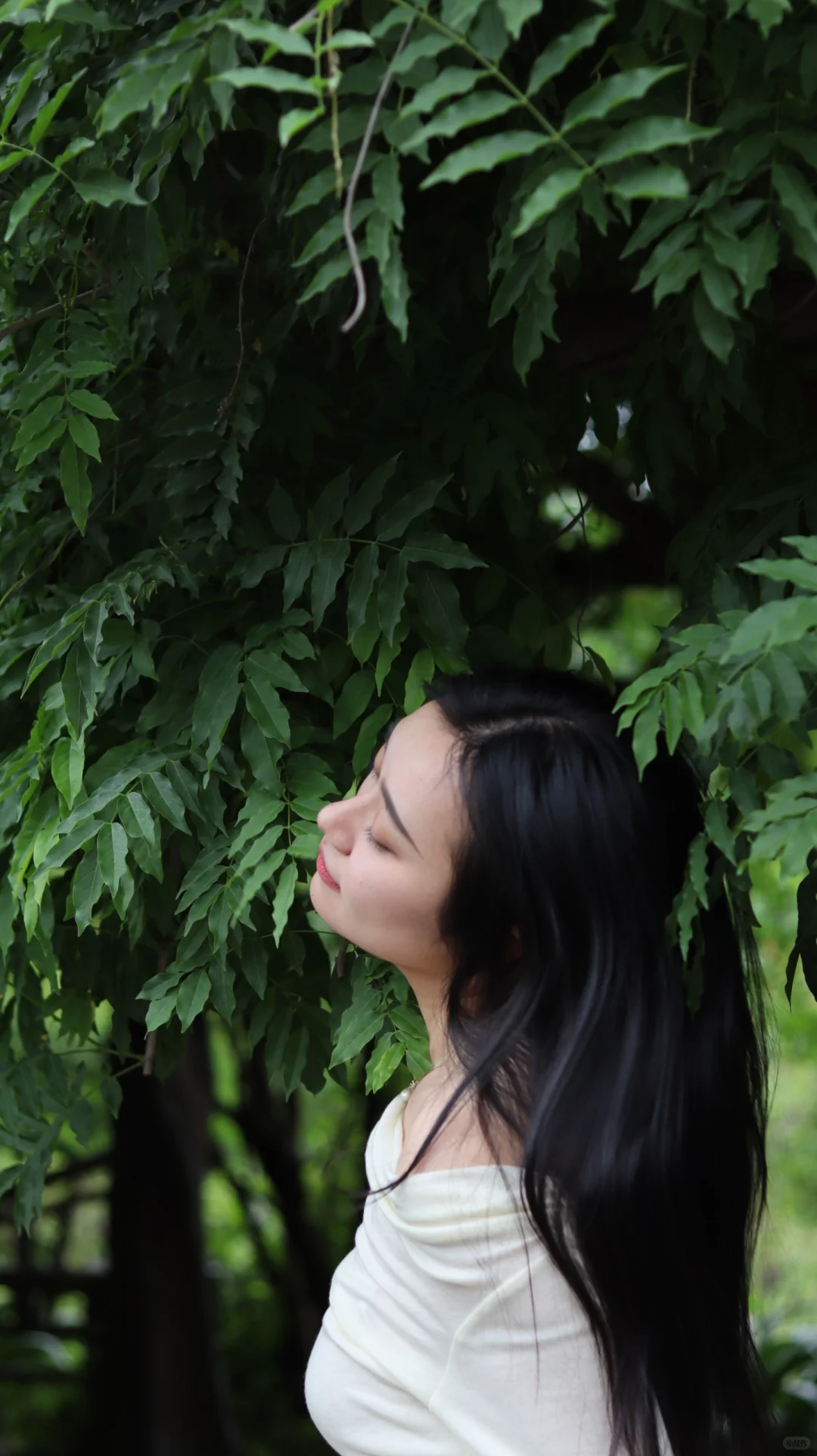 与自然同频的森系写真🍃