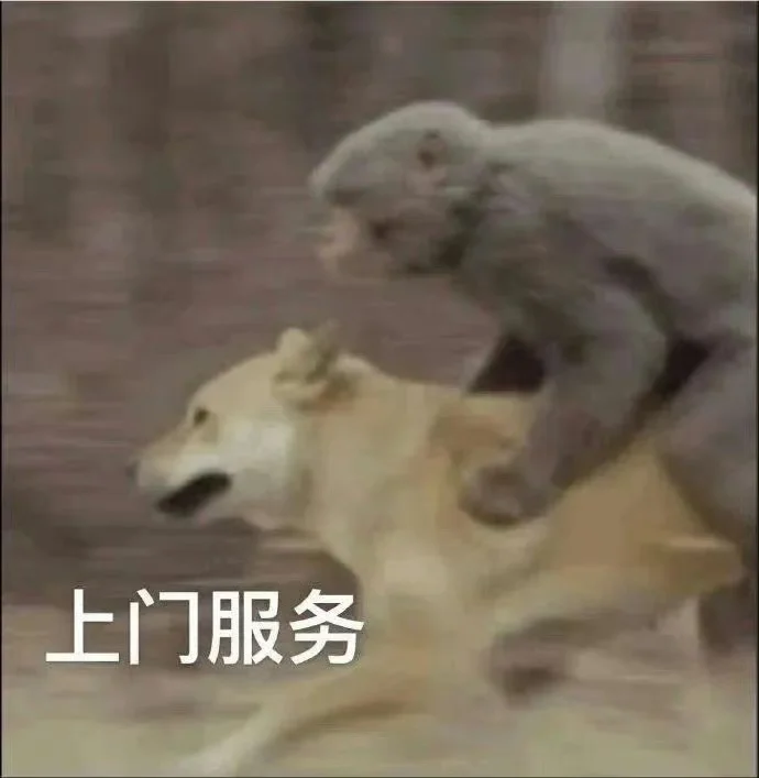 𝐬𝐡𝐚𝐫𝐞|有趣的表情包