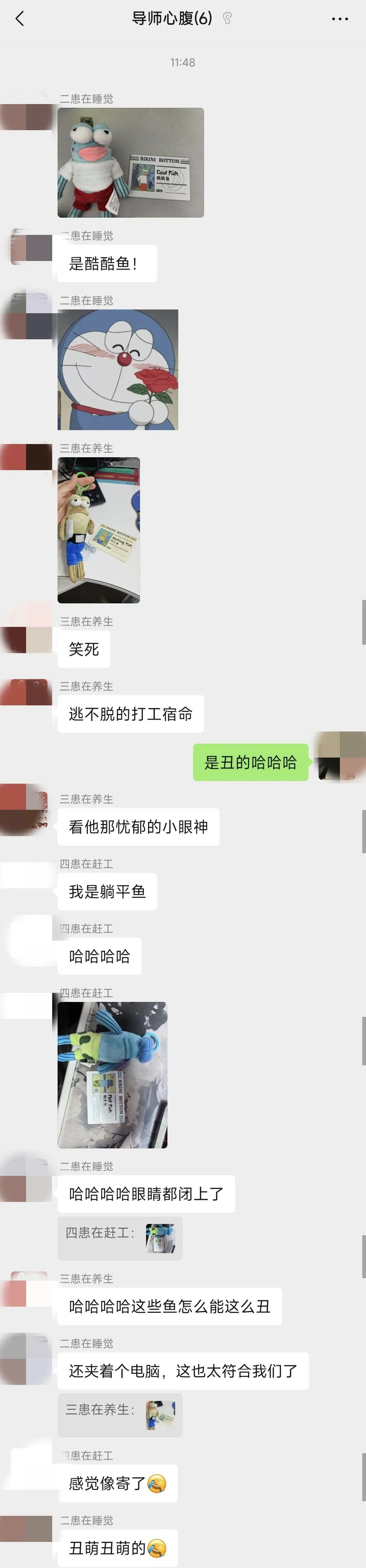 其他四条也来啦