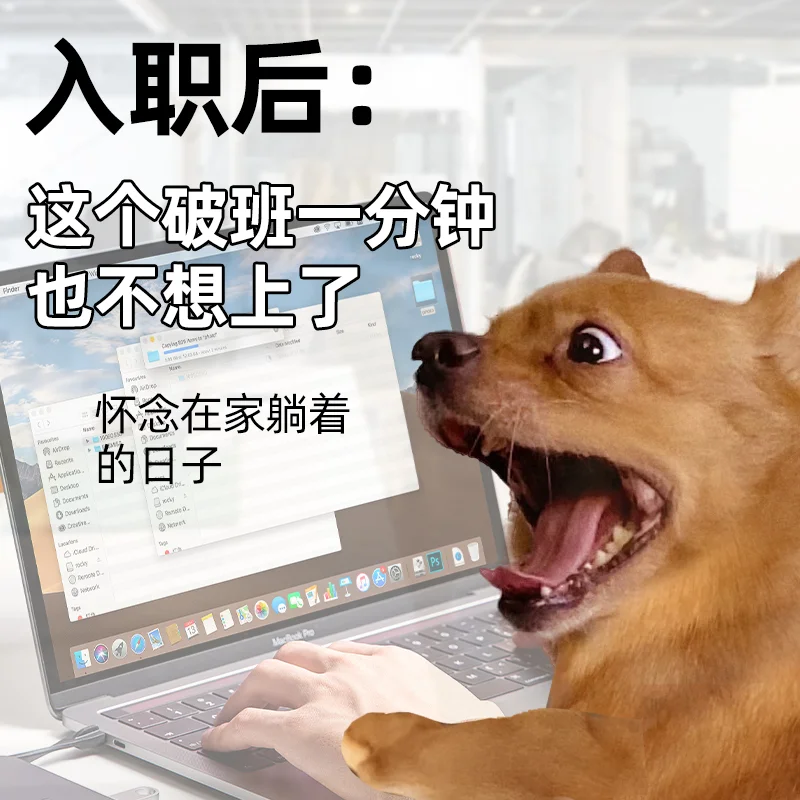 入职前后的你丨打工人表情包