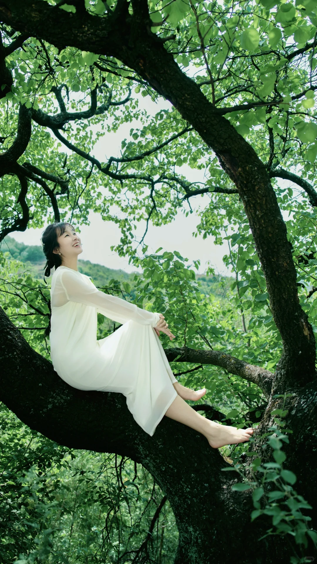 树上长了个仙女🧚‍♀️