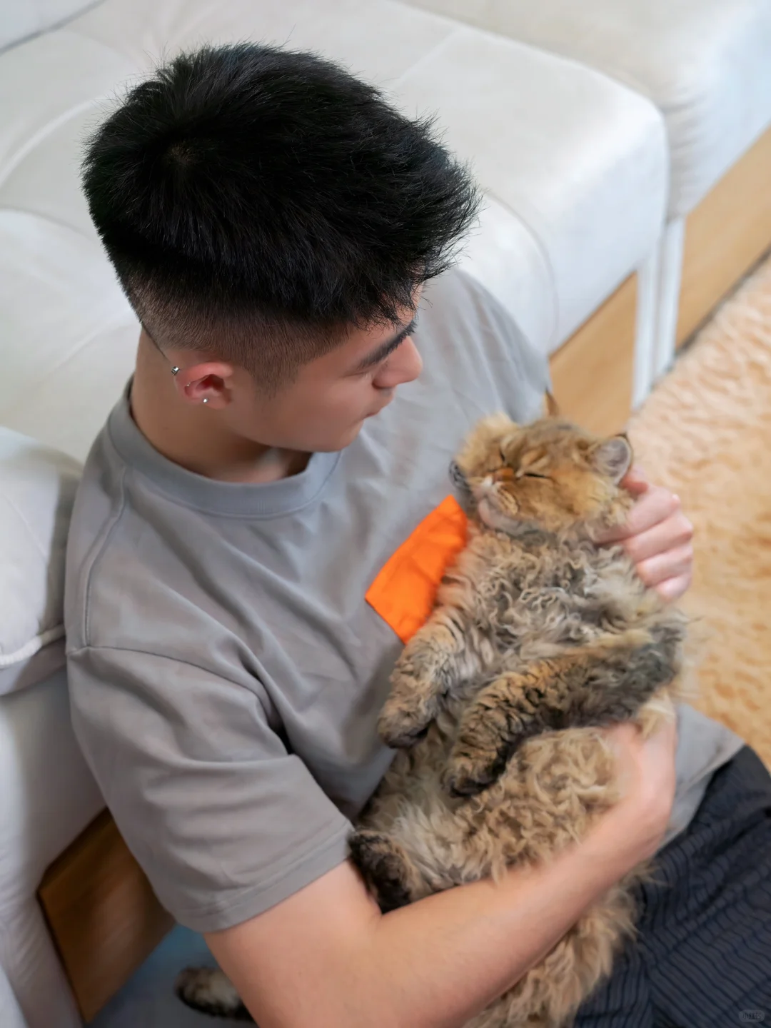 有猫猫参与的生活真好呀～