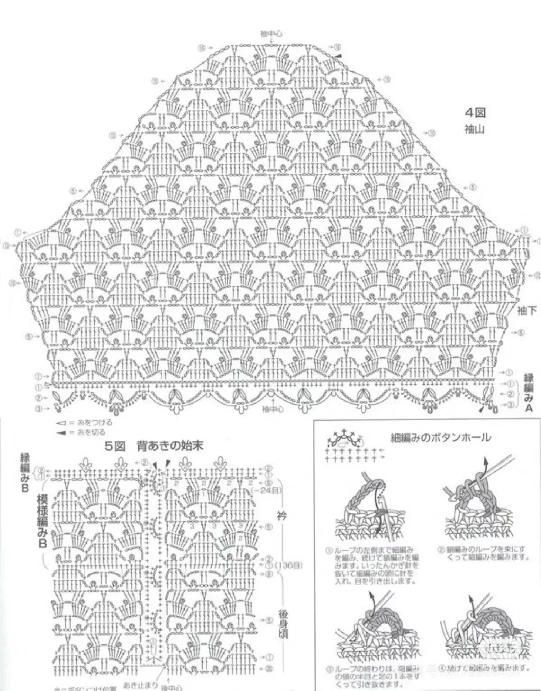 蕾丝短袖