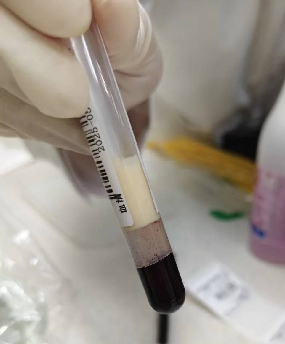 求求我自己别喝了……