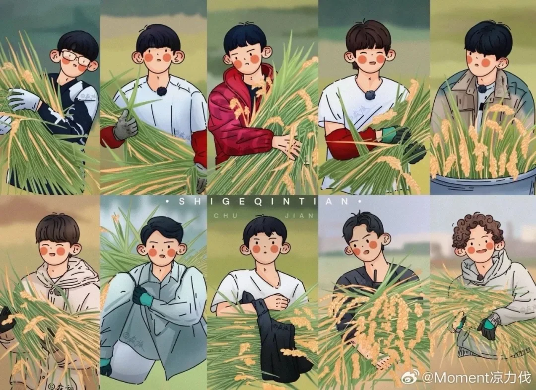 平板壁纸第五弹