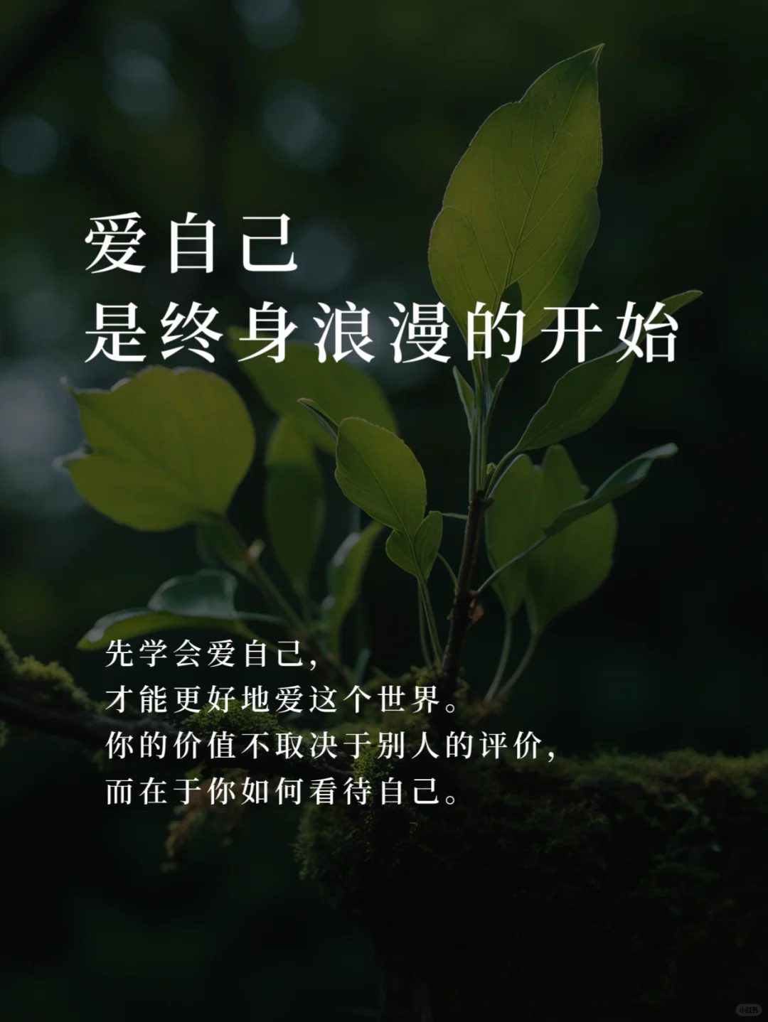 女人自洽而内求，可让能量倍增。