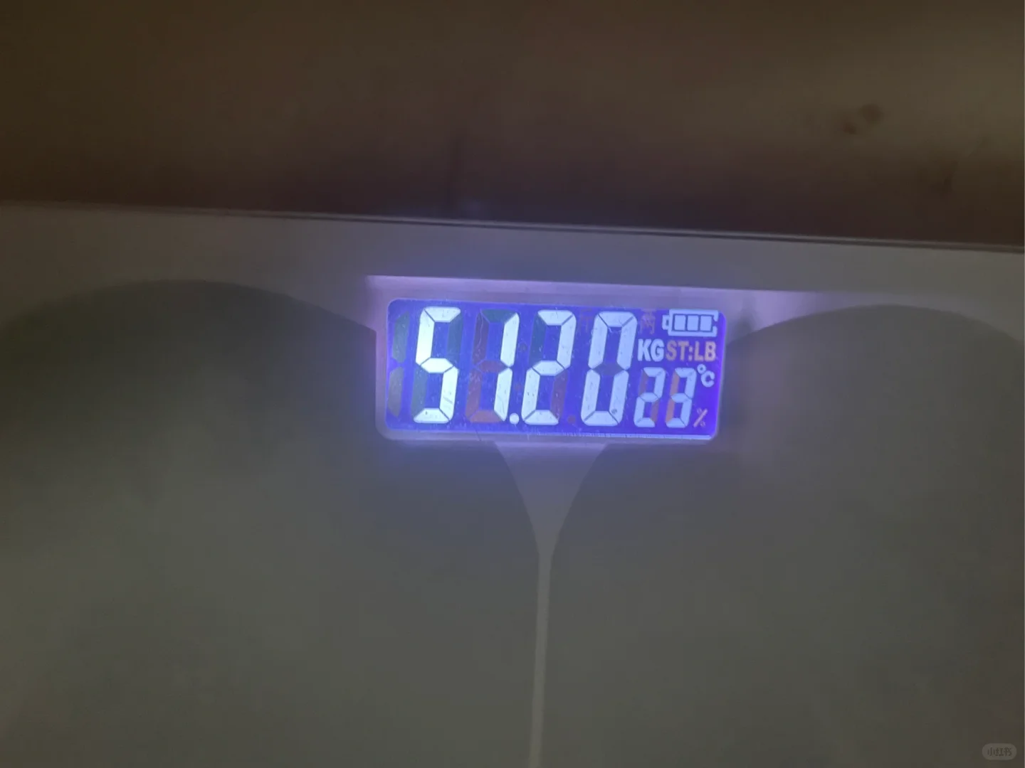 女孩子是世界上的天使