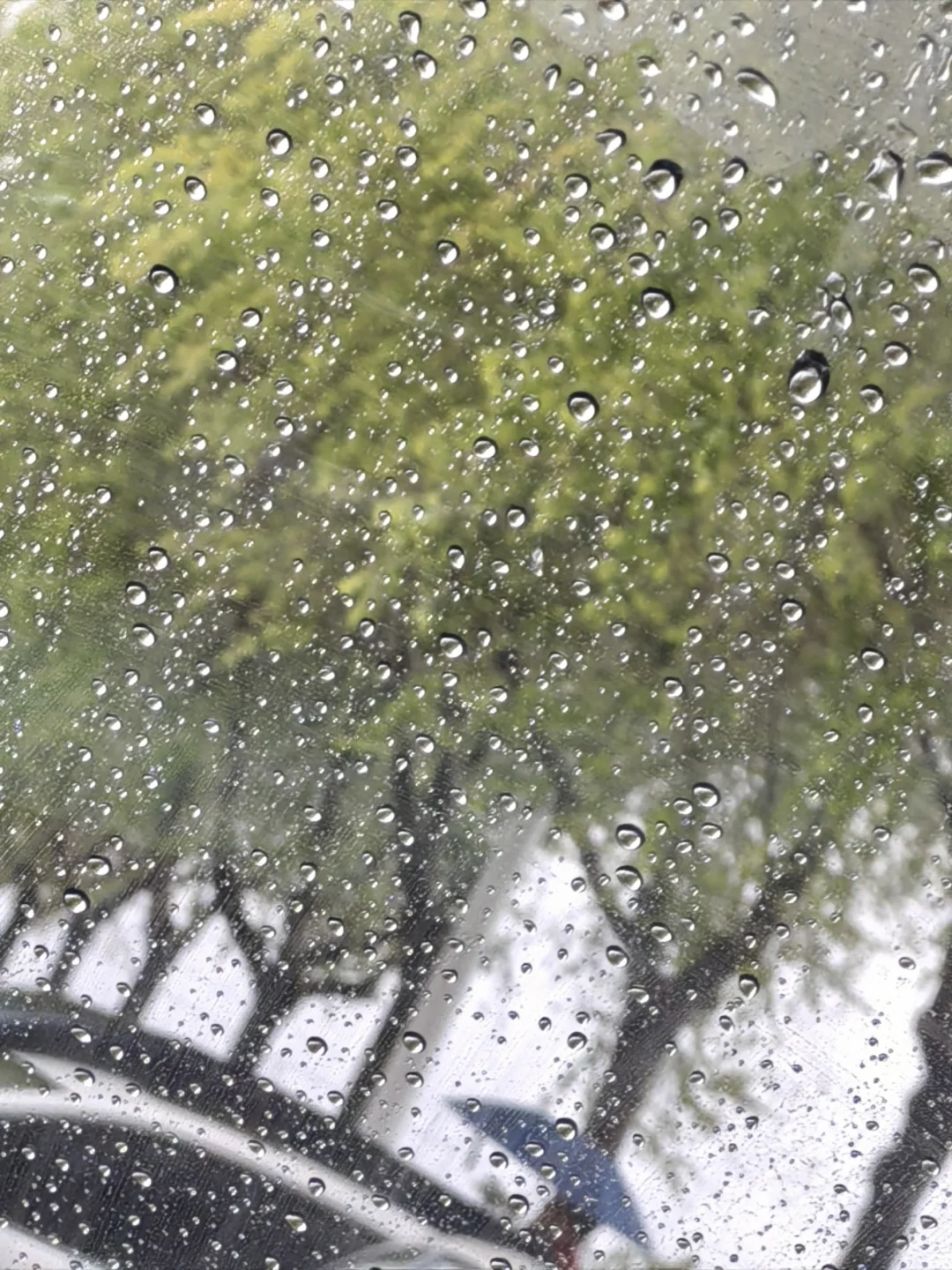 写雨不见雨，但大雨瓢泼