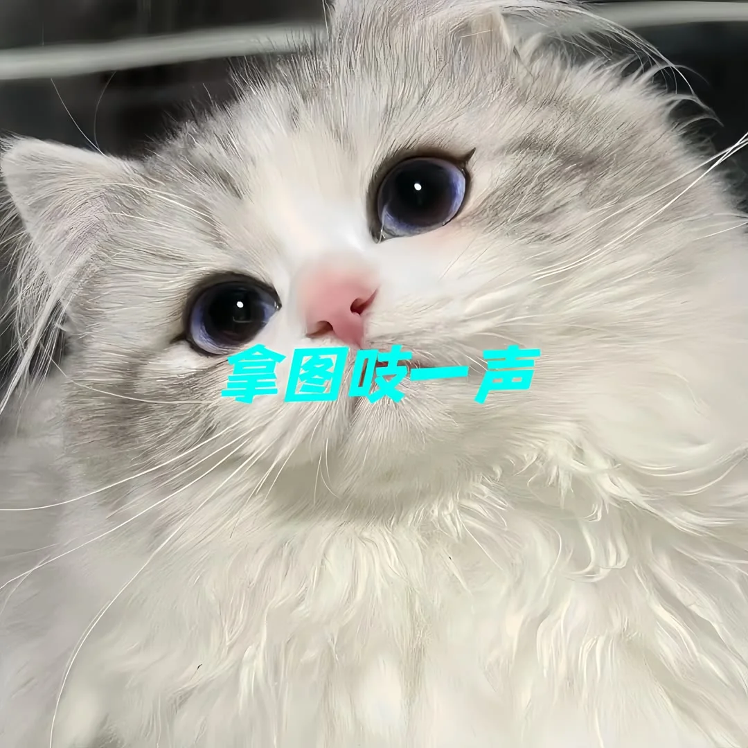 充满阳光味道的聊天壁纸～