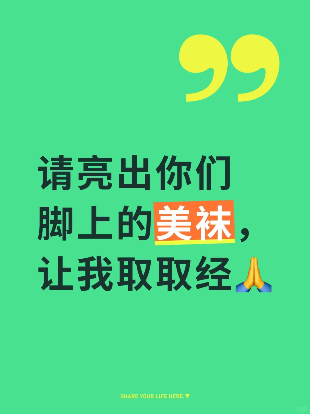 请亮出你们脚上的美袜，让我取取经