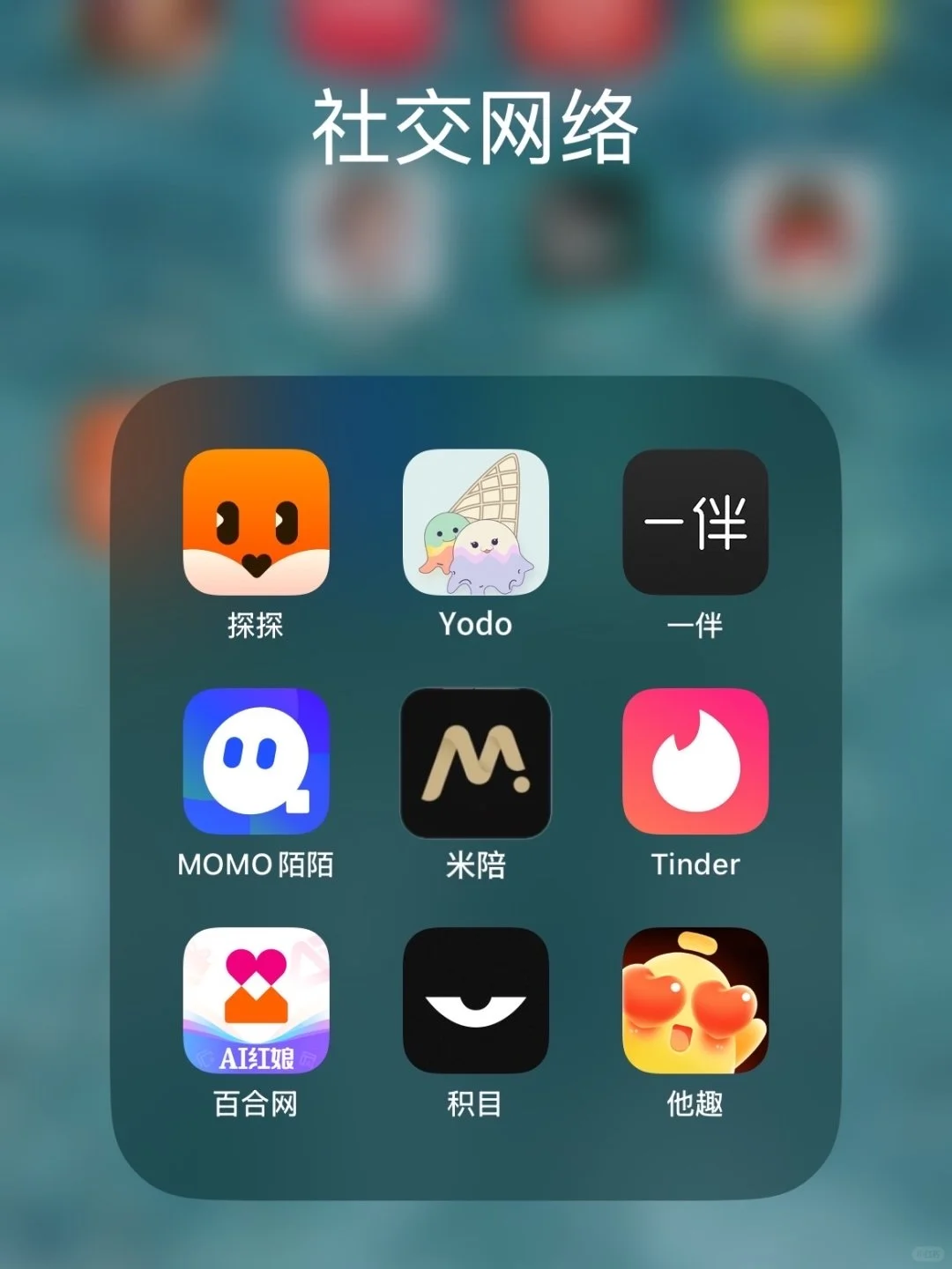 2025上半年交友软件总结