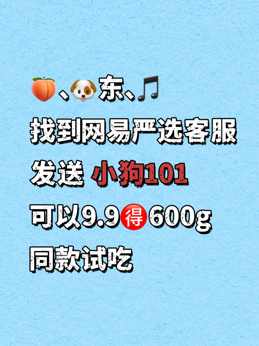 狗届101，边牧申请出战！