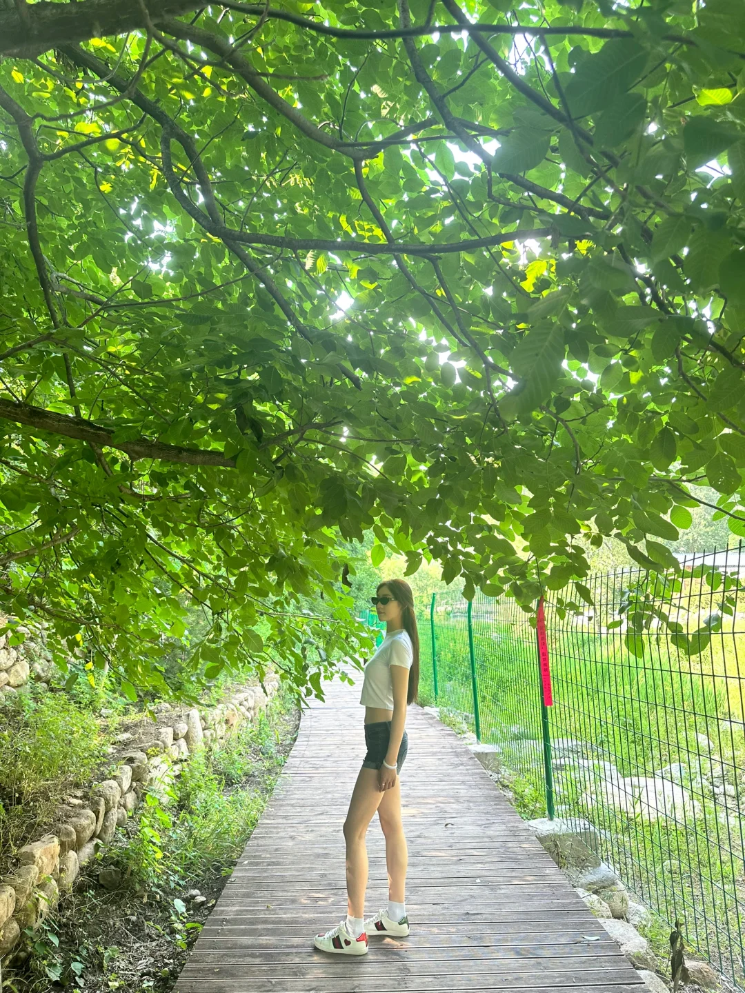 这条含腿🦵量级高