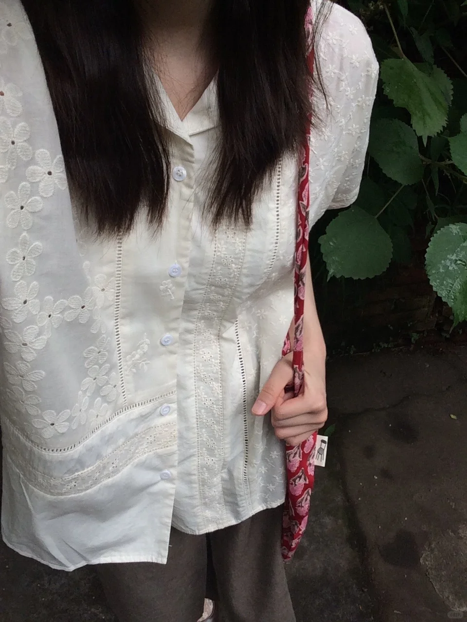 南方来的女作家