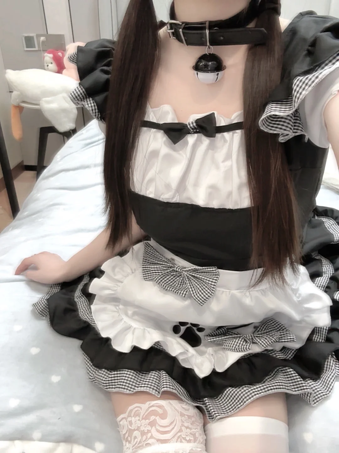 小猫体质