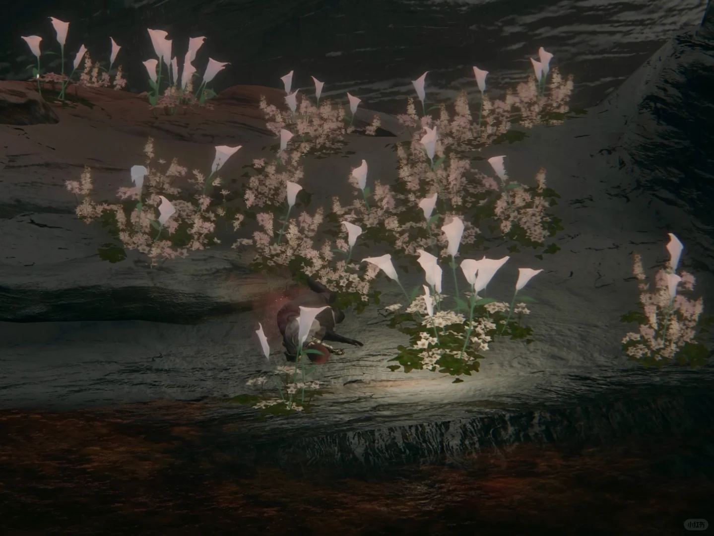 米莉森永眠的花海