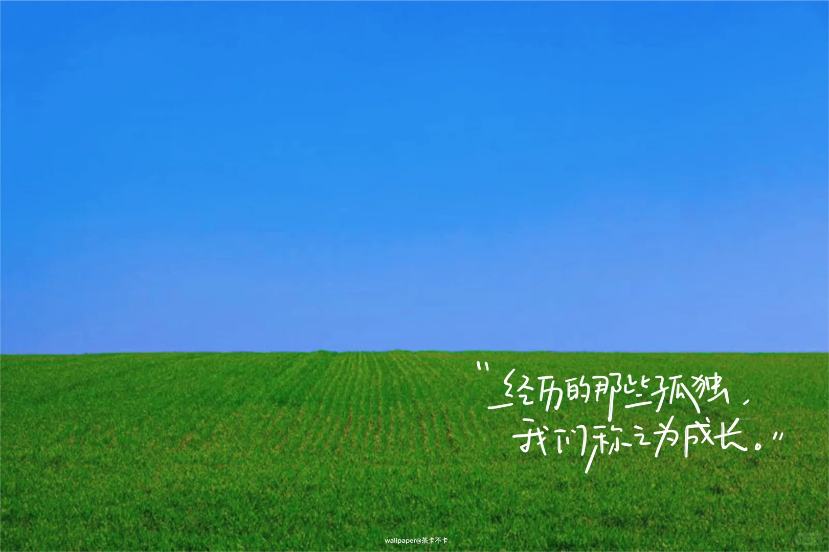 手写✍️6.29｜iPad壁纸/背景图