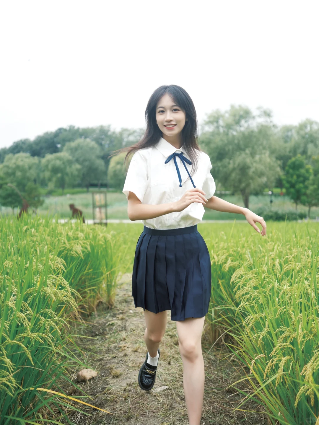 怀念那个夏天🌾