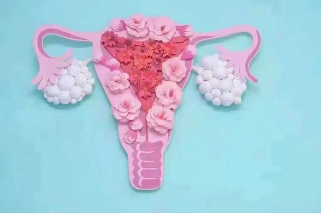 女人延长寿命的秘密💃