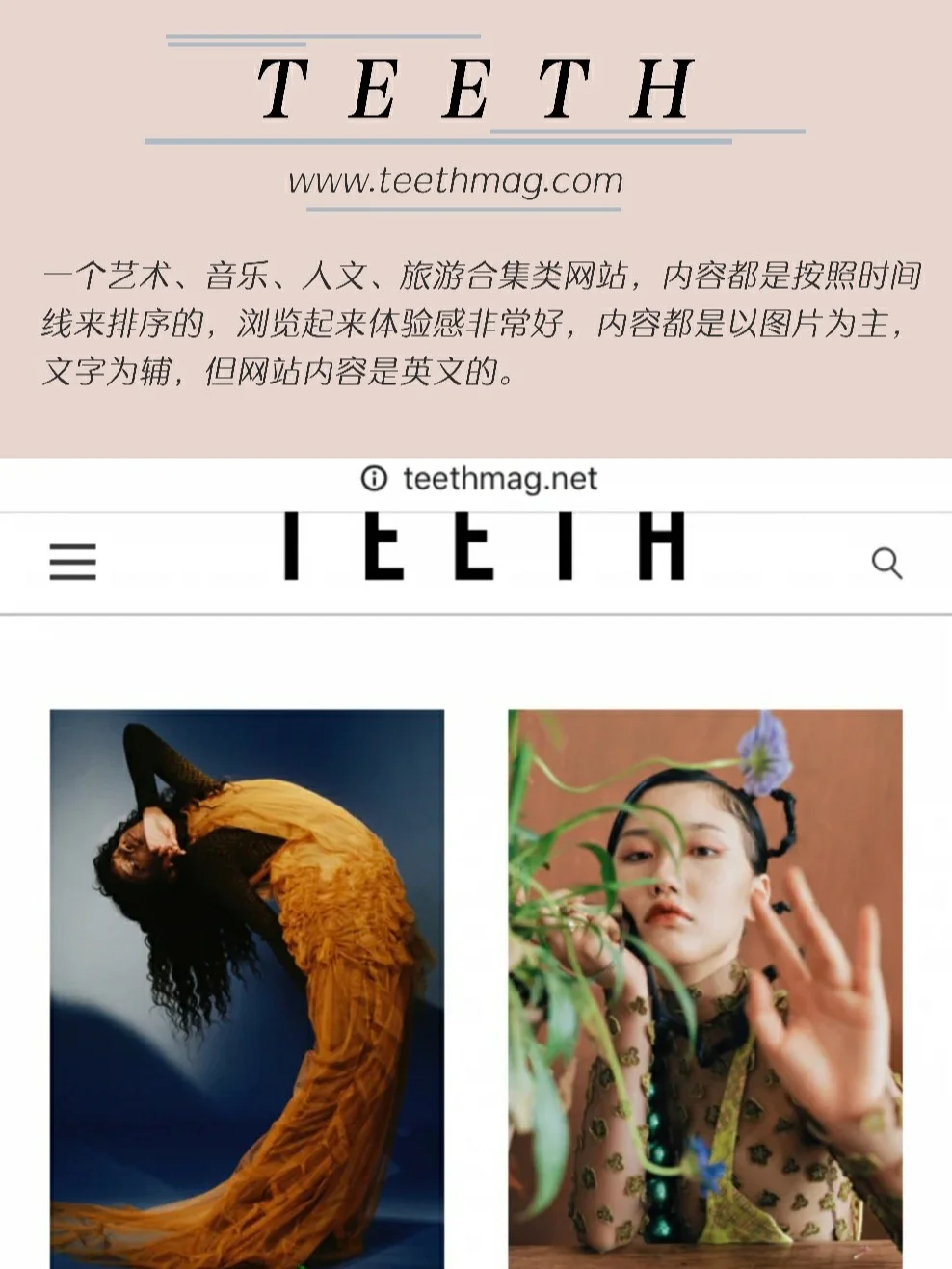 学摄影必备的宝藏网站‼️提高审美构图技巧