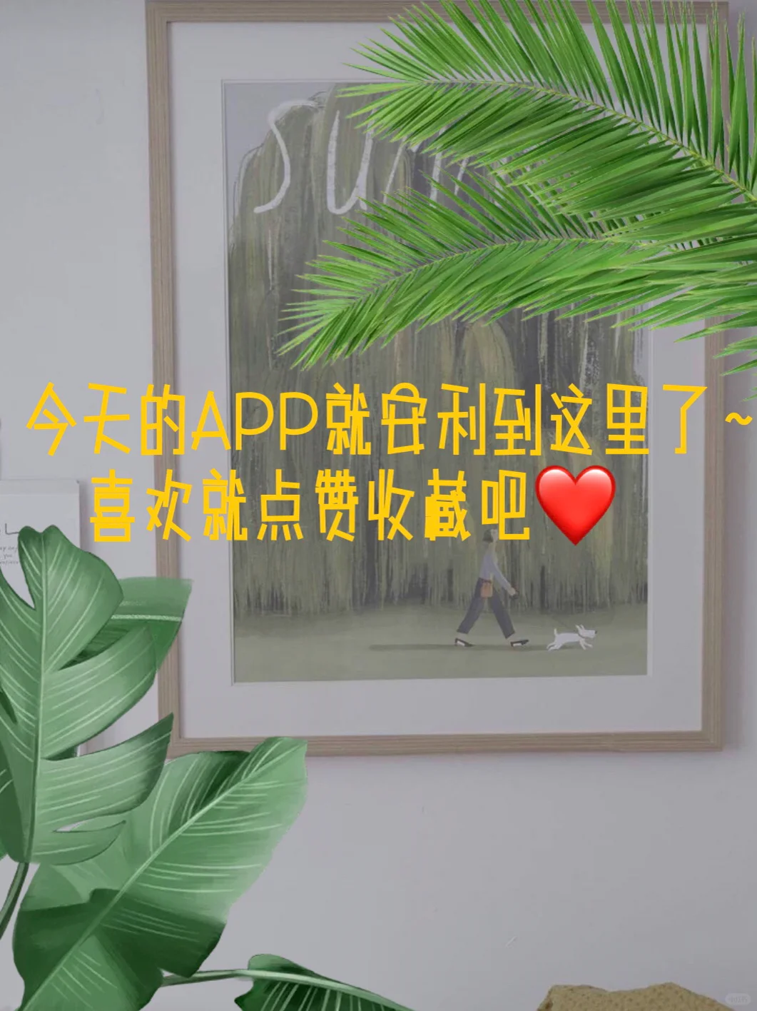 ✌️不为人知的宝藏APP💎