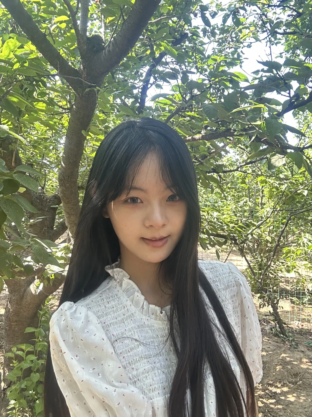 有点无聊 锐评