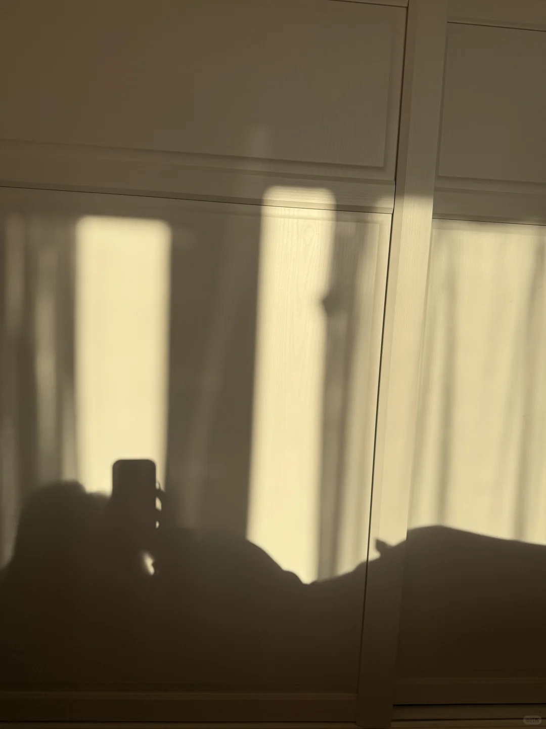 宝～☀️太阳晒jiojio了该起床了