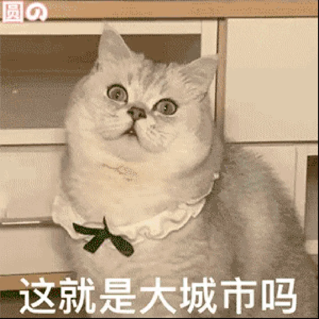 城市中失落的人体艺术