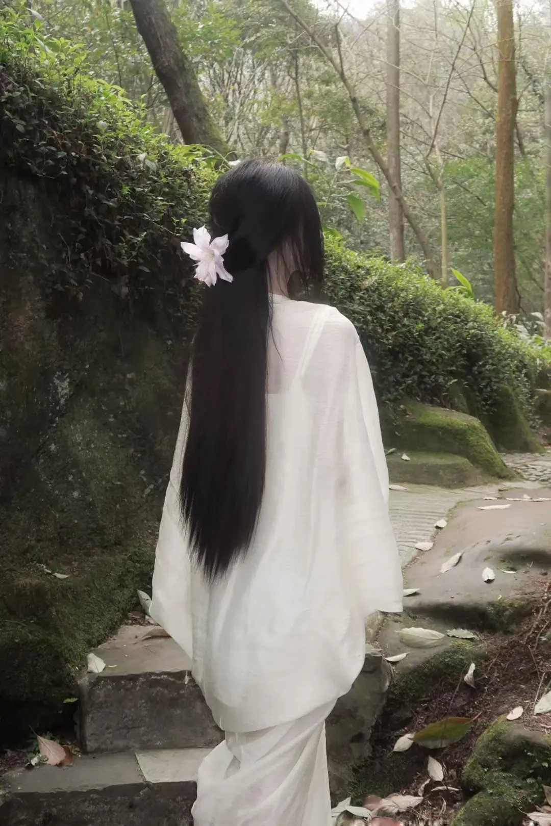 幽径白素裳