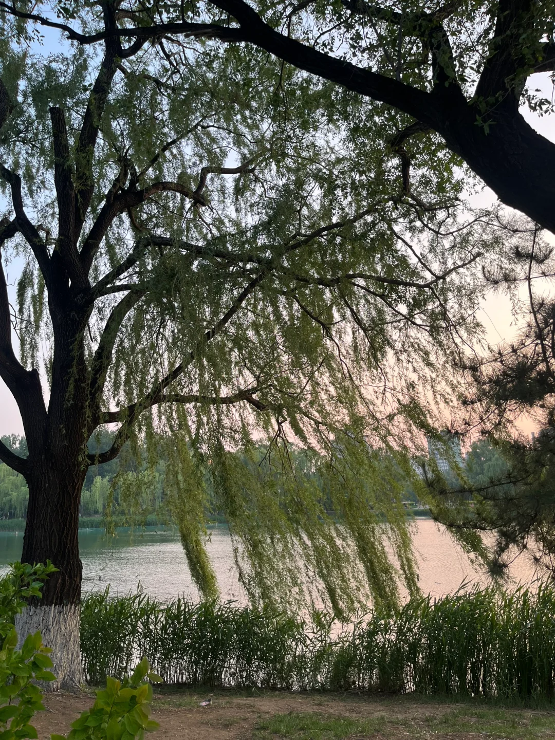 还好我是女的