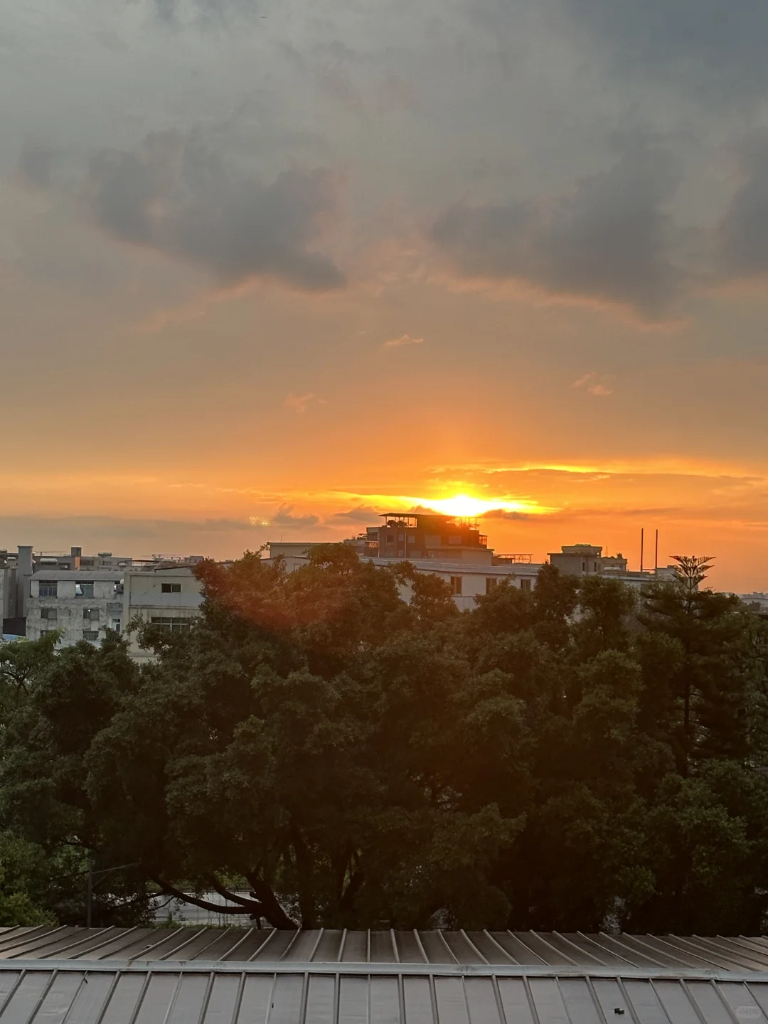 雨后天晴
