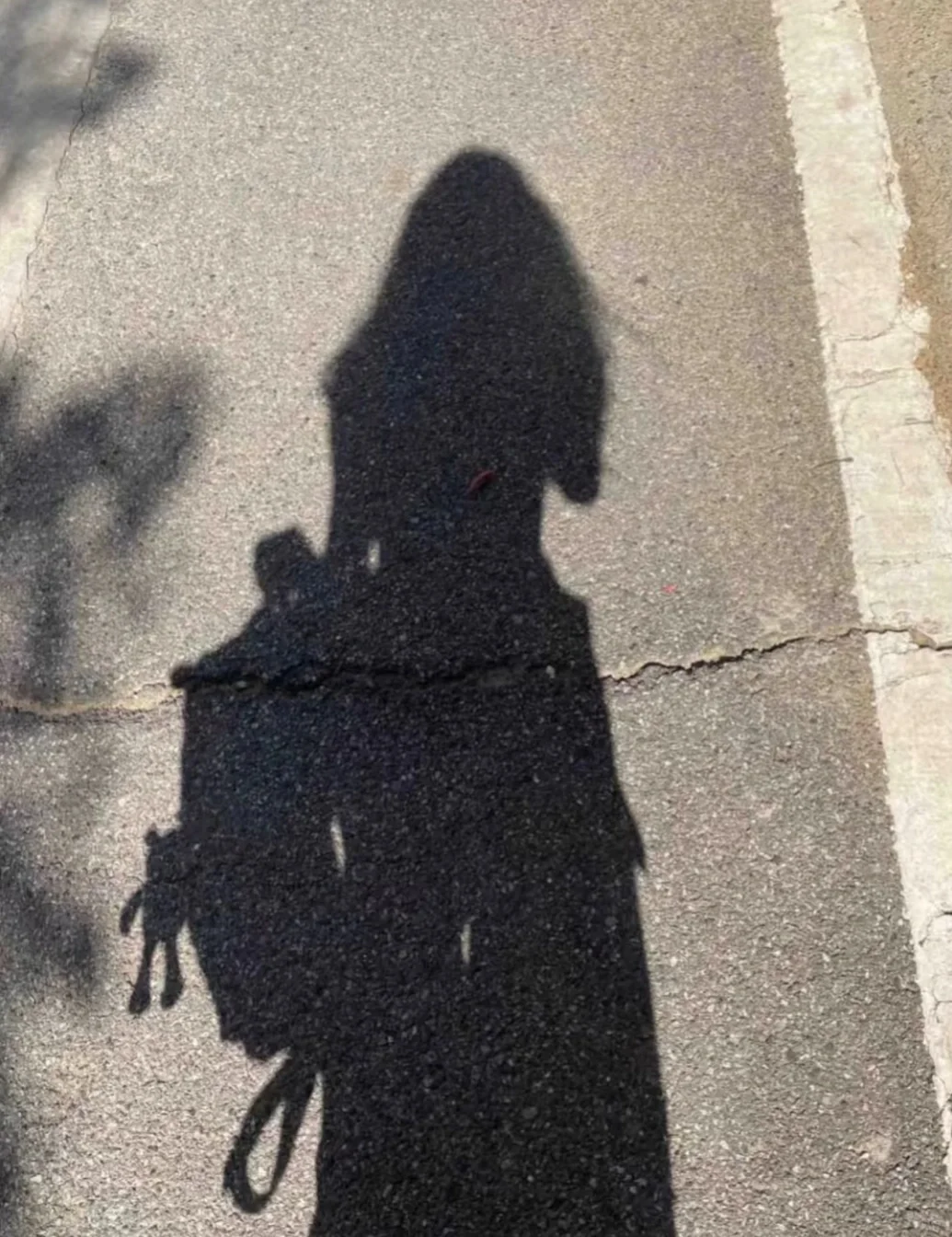 想要一个全是全身照的评论区，最好看的置顶