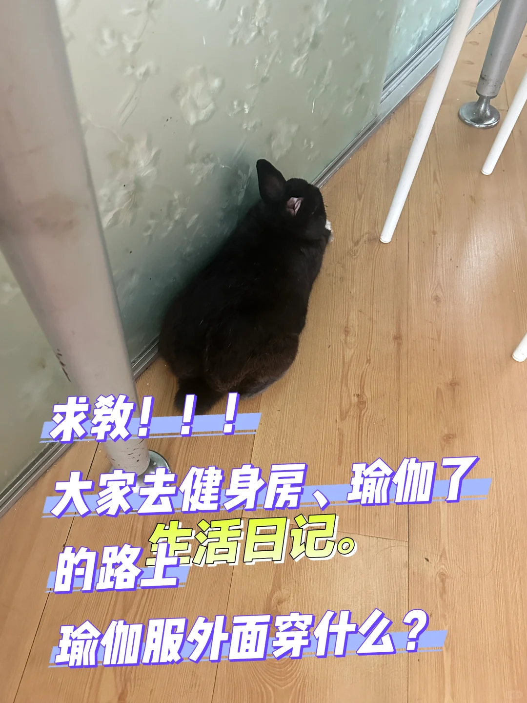 求教！！！ 身材不自信，瑜伽服外面穿什么？！