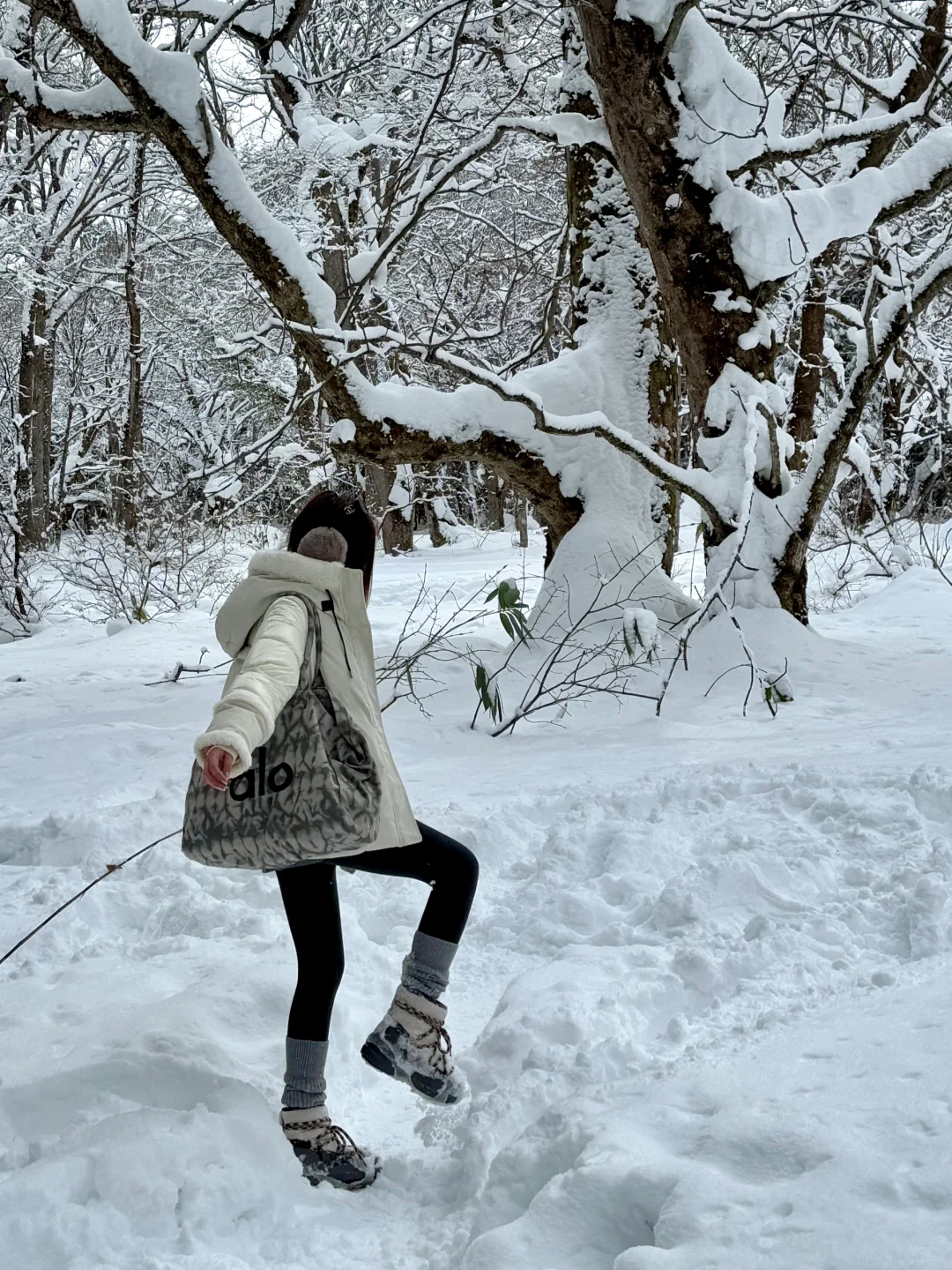 不输北海道的长野雪景❄️打卡户隐神社⛩️