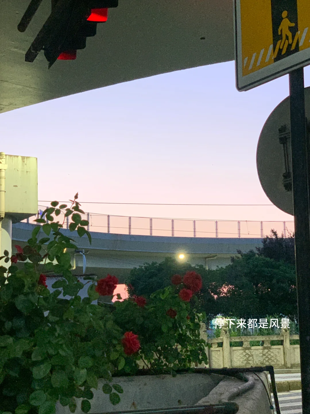 今天是知性温柔姐姐风🥂