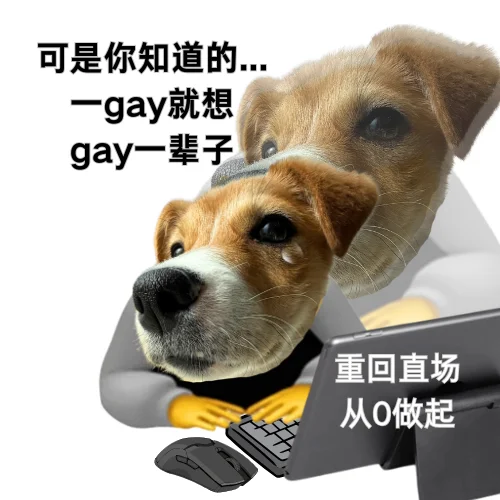 这么抽象的表情包不要mean了