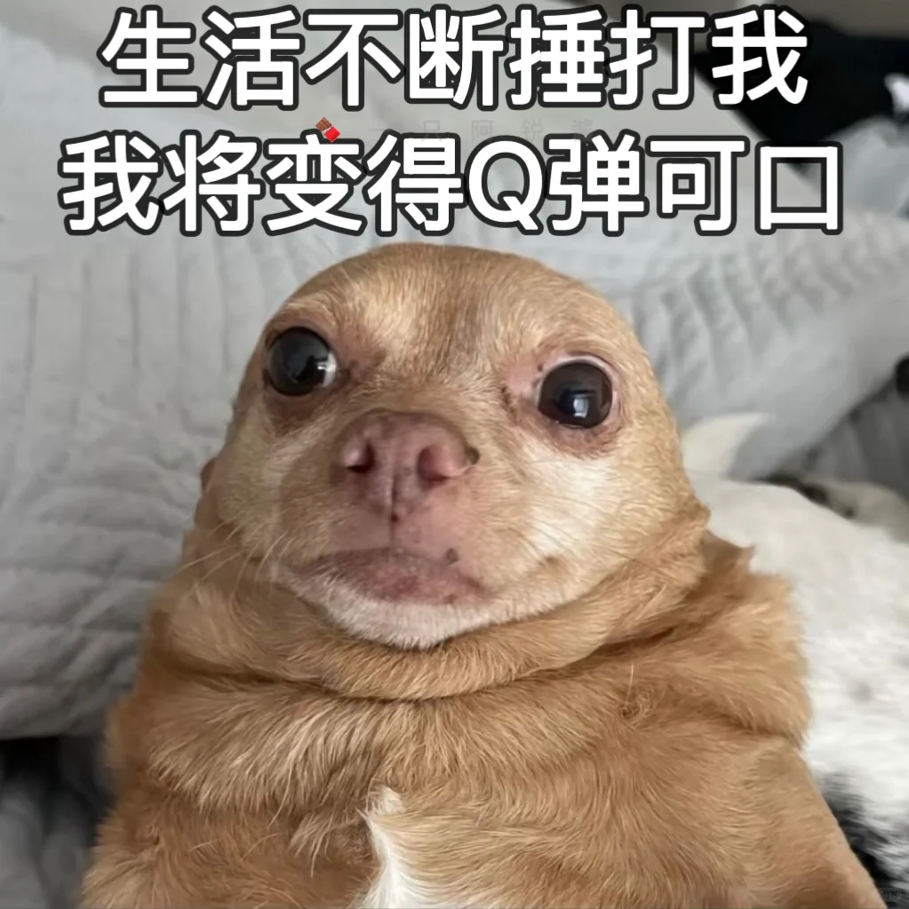 抽象小狗表情包🤭🫰‼️