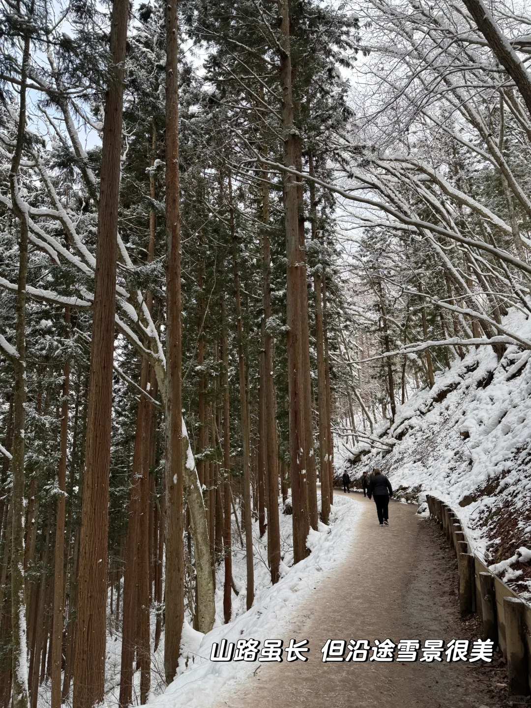 不输北海道的长野雪景❄️打卡户隐神社⛩️