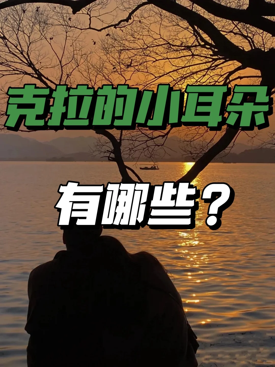 克拉小耳朵的种类有哪些❗