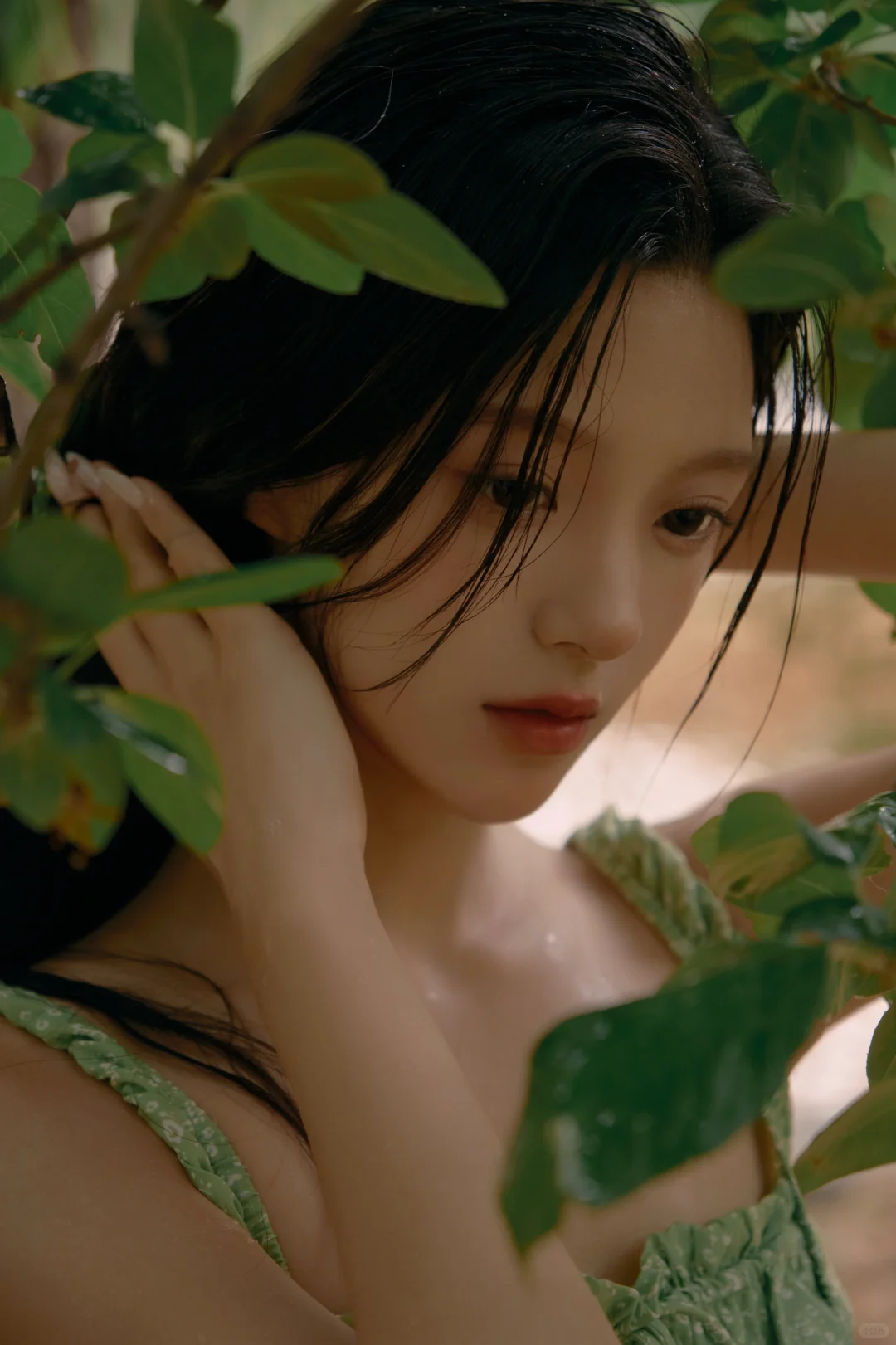 𝑺𝑨𝑵𝒀𝑼｜雨季 少女 绿叶 蝉鸣🍃