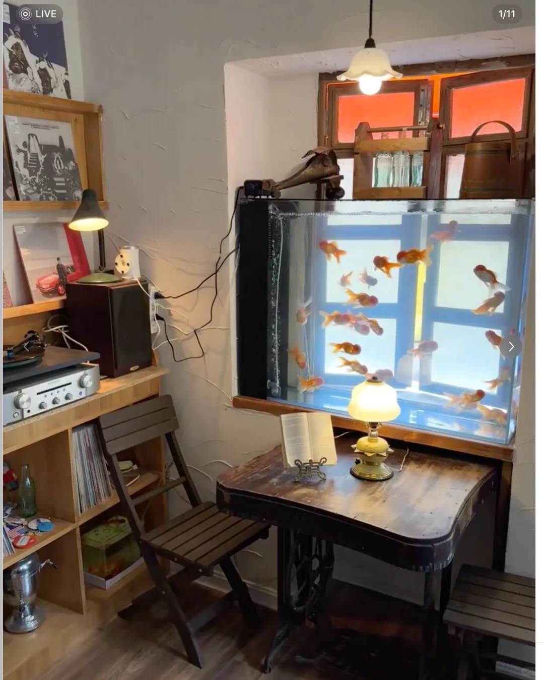 找这周六去厦门丑集咖啡店拍照的模特！！！