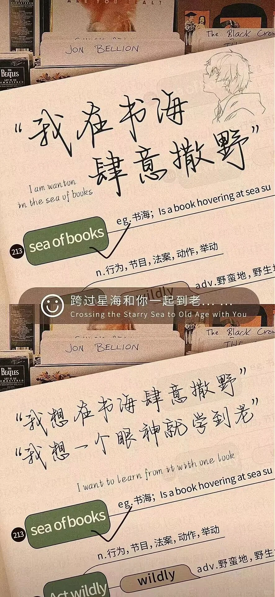 不要怀疑努力的意义 |壁纸