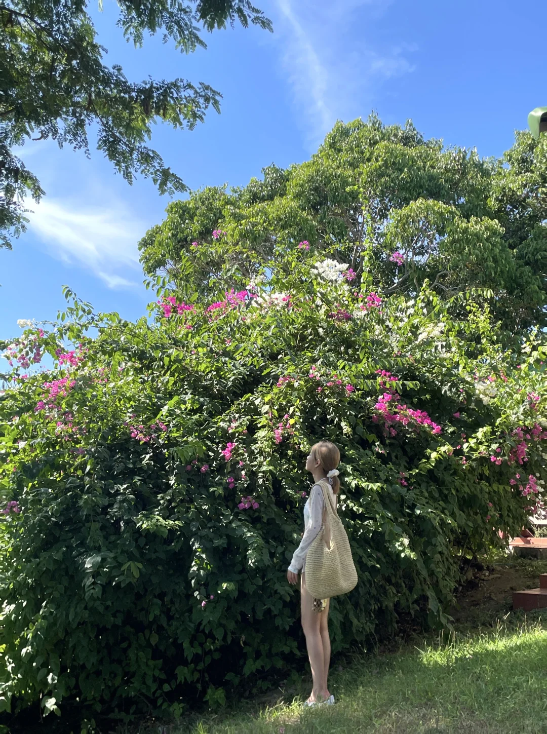 普吉岛一周穿搭🌼✨